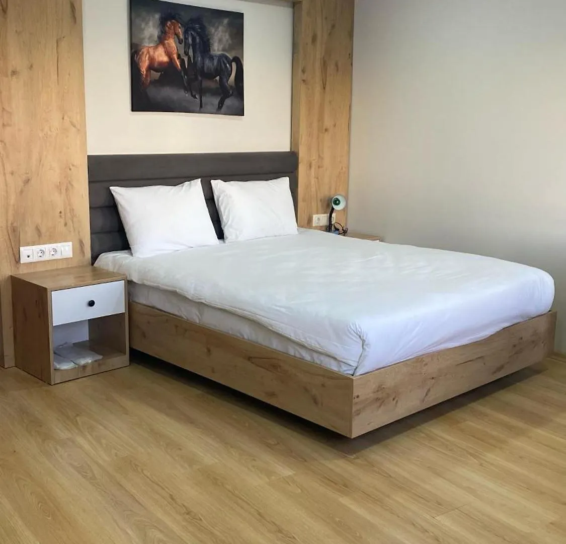 Aras Life Hotel اسطنبول تركيا